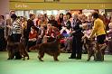 Crufts2010 1788